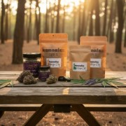 Άνθη Κάνναβης