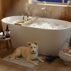 Προσωπική φροντίδα & υγιεινή