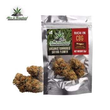 Cretan CBG Ανθος Κανναβης 2025 3g by Alice in Hempland